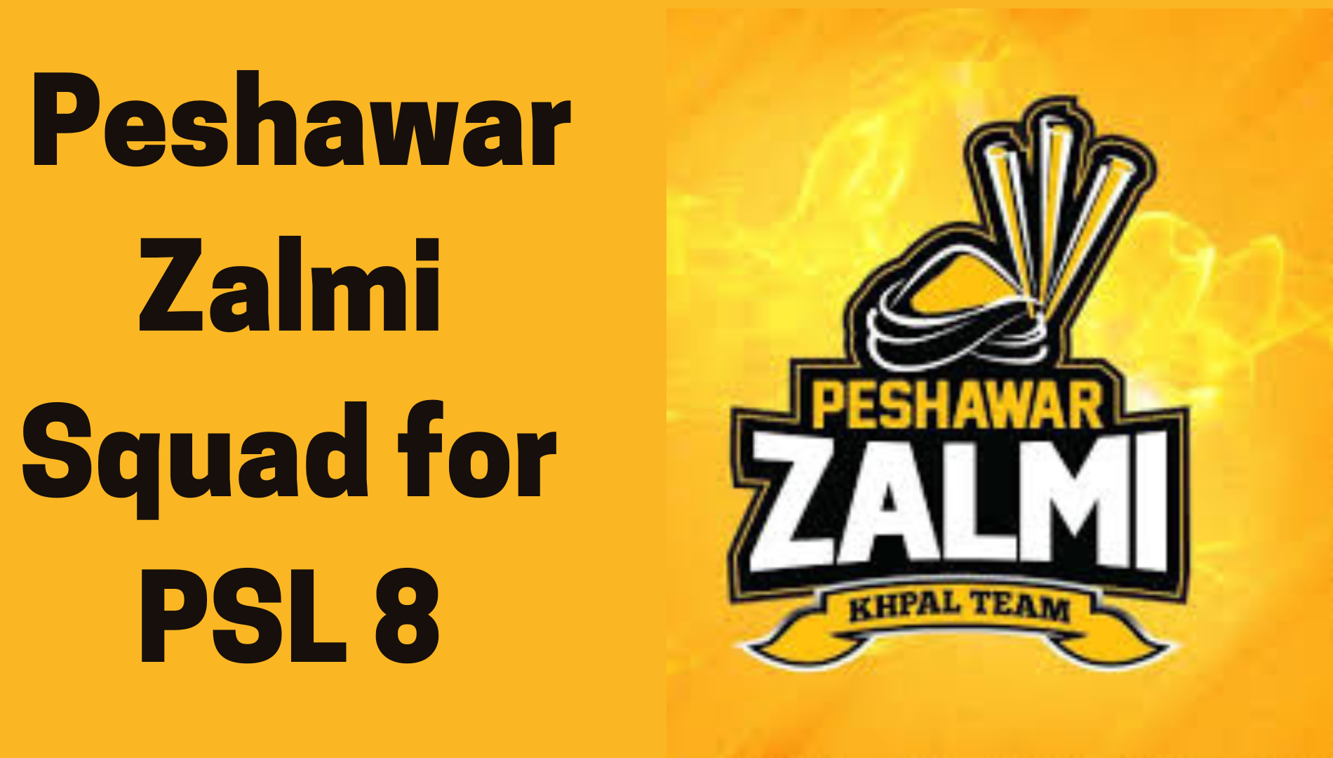 Peshawar Zalmi Squad For PSL 2023